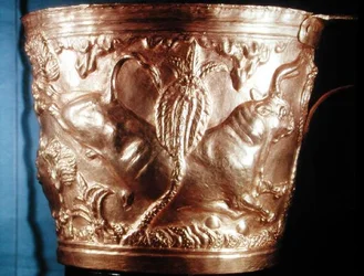 Becher, der einen wilden Stier darstellt, gefunden im königlichen Grab von Vaphio, Sparta, spätes Minoisch I, ca. 1500 v. Chr.